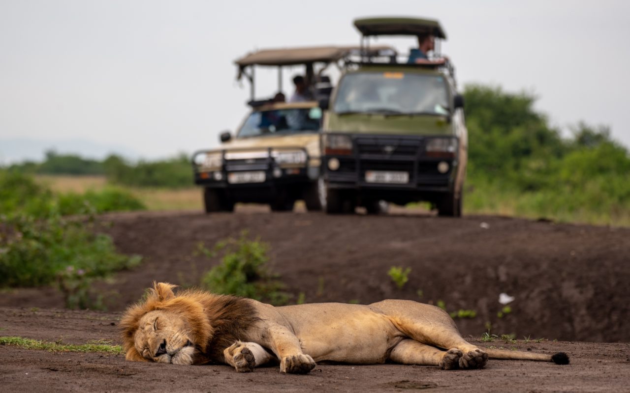 6 DAYS MASAI MARA, LAKE NAKURU & BUFFALO SPRINGS